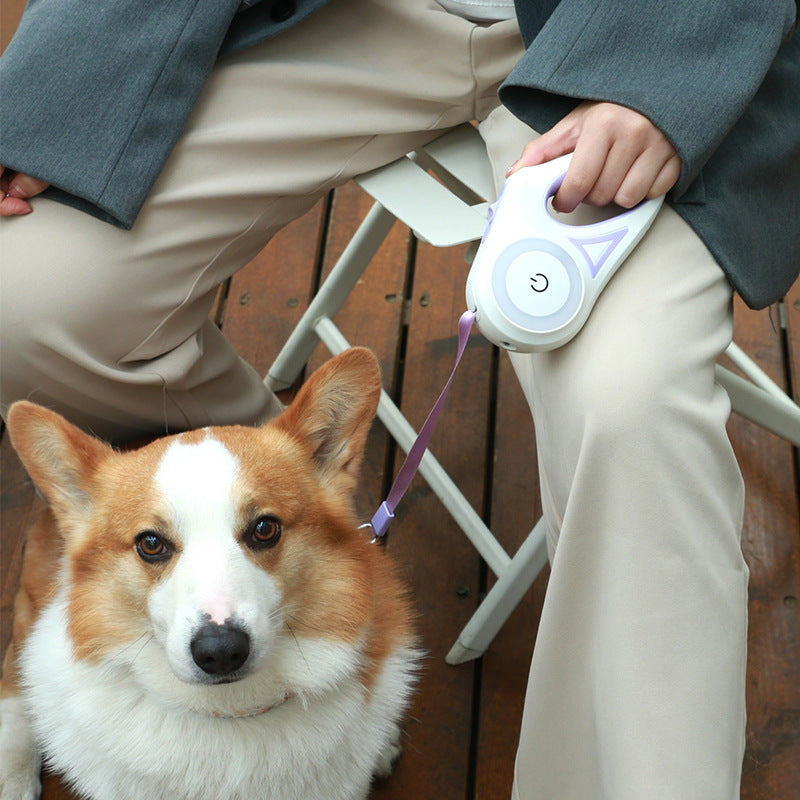 Guinzaglio Retrattile con Luce LED per Cani - Rendtronics