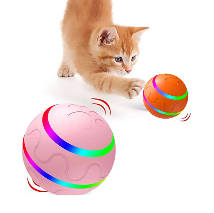 Pallina Interattiva per Gatti - Rendtronics
