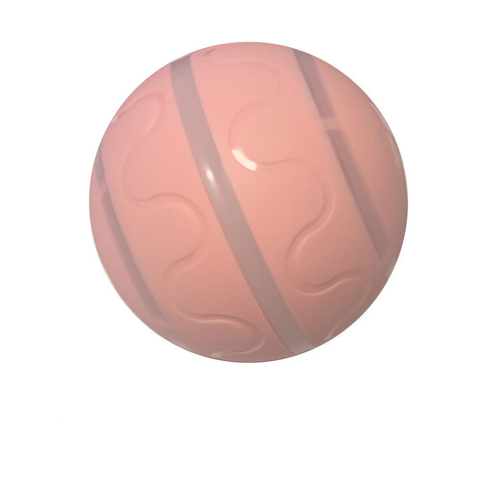 Pallina Interattiva per Gatti - Rendtronics