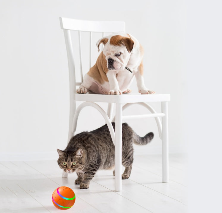 Pallina Interattiva per Gatti - Rendtronics
