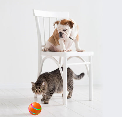Pallina Interattiva per Gatti - Rendtronics
