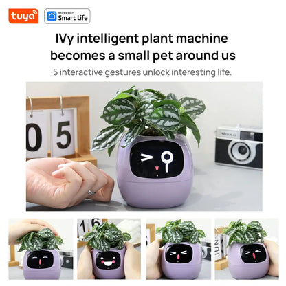 Tuya Ivy Smart Planter,Endless Fun Over 49 Rich Expressions,7 smart sensors,AI Chips Make Raising Plants Easy and Fun by MAIDEN-ART