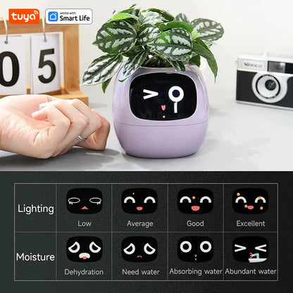 Tuya Ivy Smart Planter,Endless Fun Over 49 Rich Expressions,7 smart sensors,AI Chips Make Raising Plants Easy and Fun by MAIDEN-ART