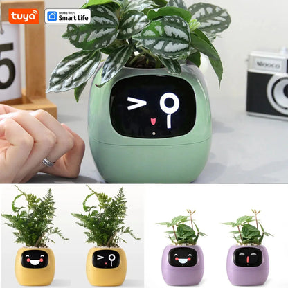 Tuya Ivy Smart Planter,Endless Fun Over 49 Rich Expressions,7 smart sensors,AI Chips Make Raising Plants Easy and Fun by MAIDEN-ART