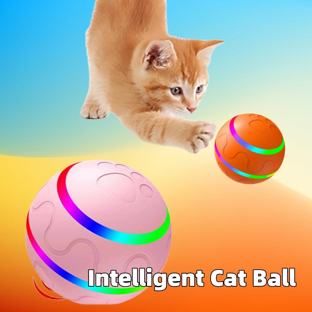 Pallina Interattiva per Gatti - Rendtronics